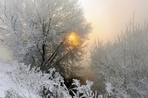 Морозная зима