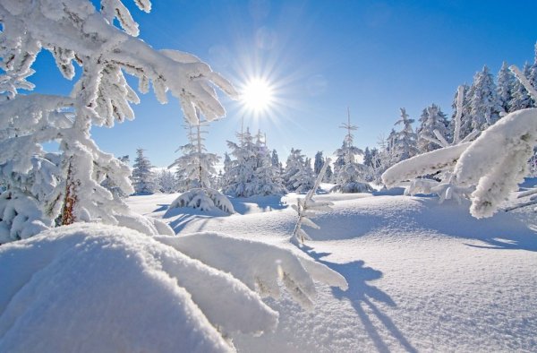 Белоснежная зима