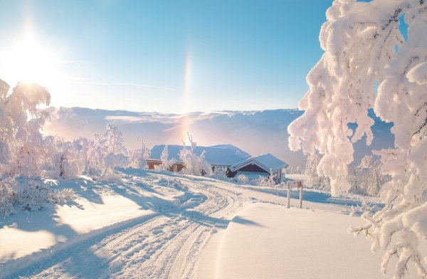Солнечный зимний день в городе