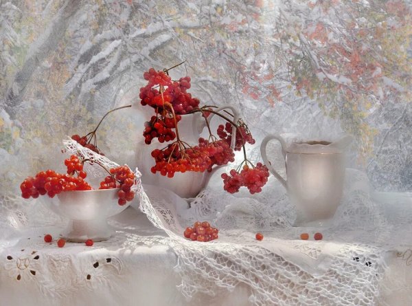 Зимний натюрморт