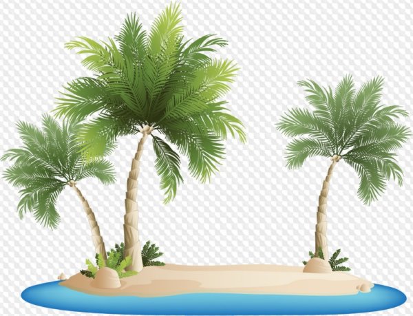 Остров с пальмой вектор