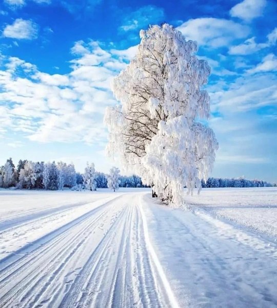Красивая зима