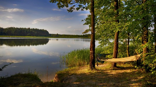 Природа лето река лес озеро