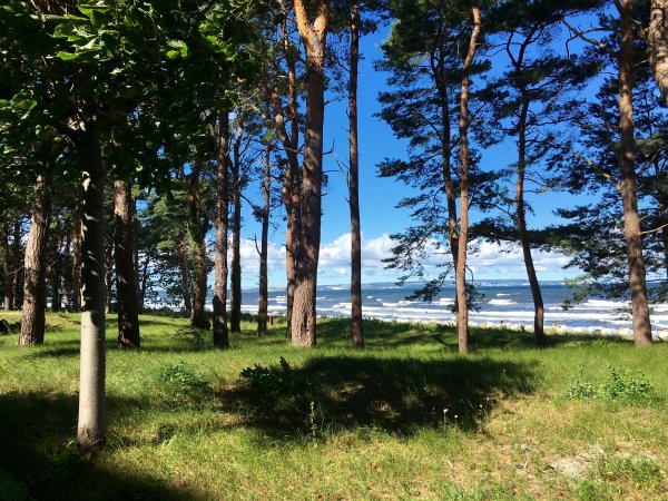 Сосновый Бор Балтийское море