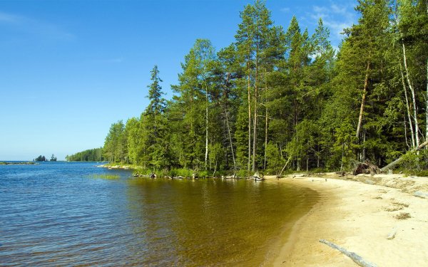 Озеро зеленое Лужский район