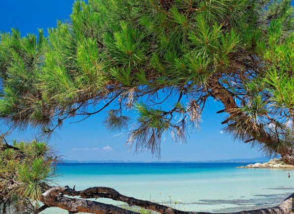 Ситония Халкидики Греция