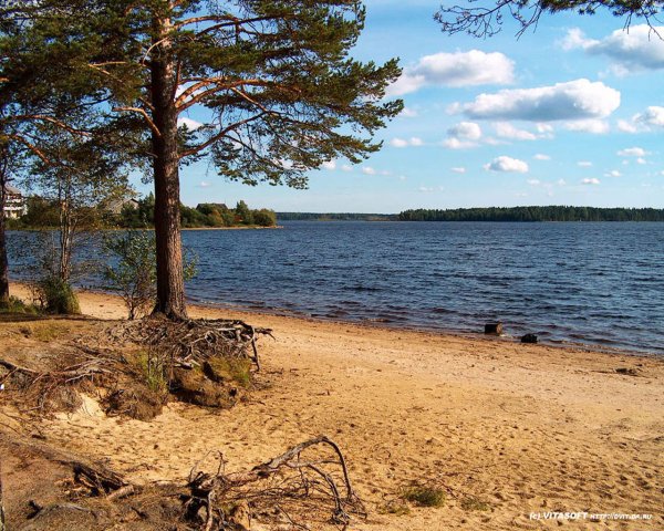 Карелия пляж Ладога