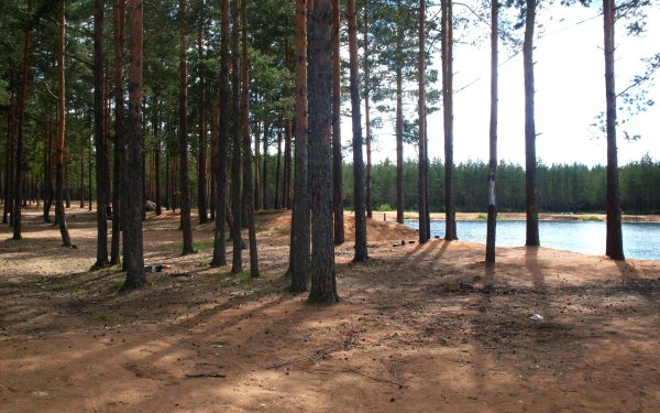 Суксун Сосновый Бор