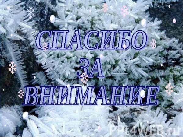 Спасибо за внимание новый год