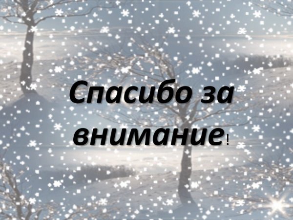 Спасибо за внимание зима