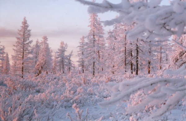 Спасибо за внимание зимнее