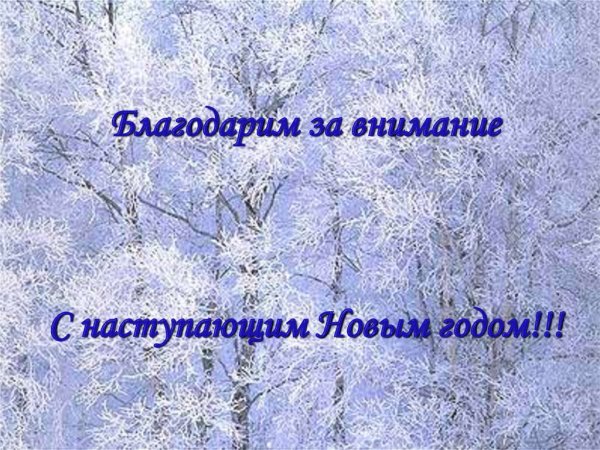 Спасибо за внимание зимнее