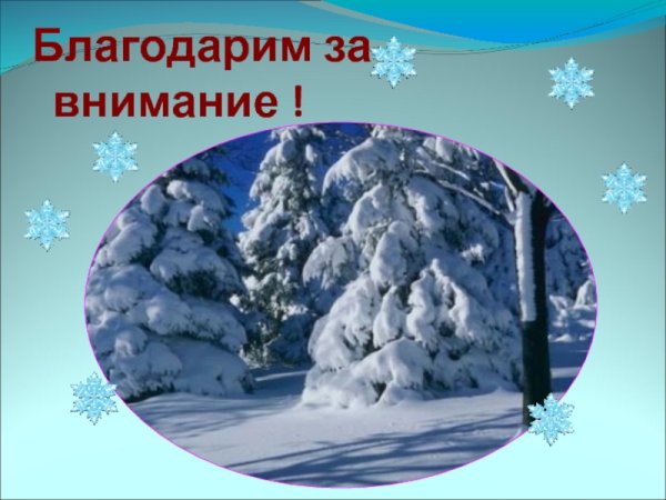 Спасибо за внимание зимнее