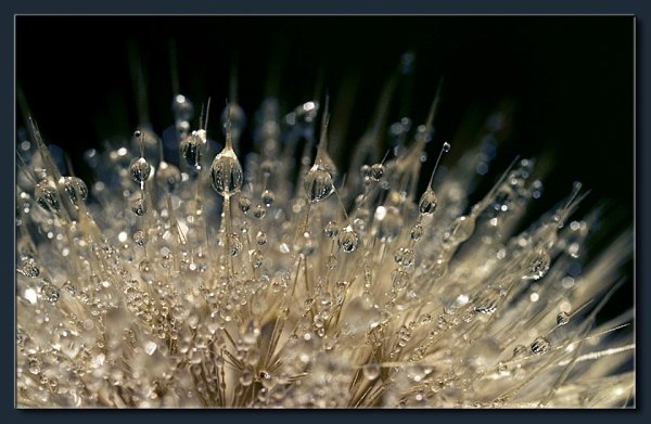 Спасибо за внимание Кристаллы