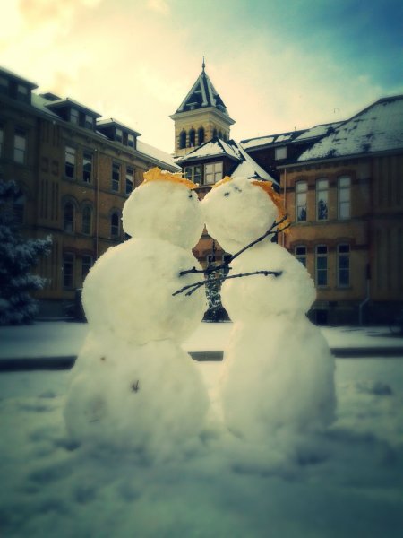 Влюбленные Снеговики