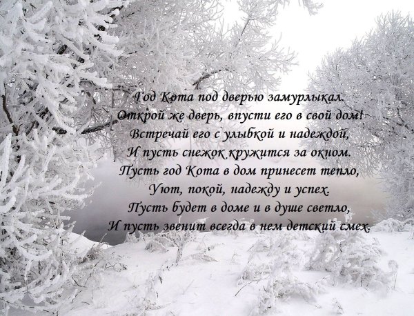 Стихи о зиме красивые