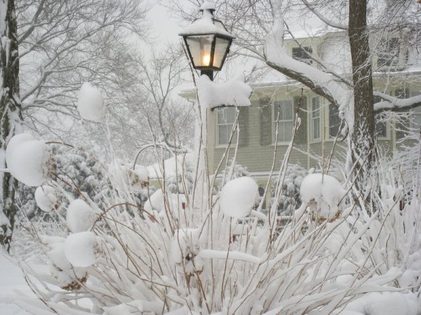 Фонарь зимой в саду