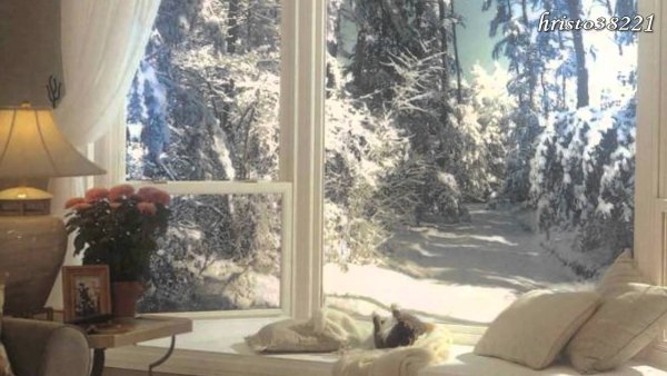 Комната с видом на зимний лес