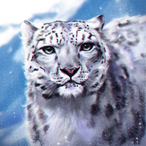 Снежный Барс аватар