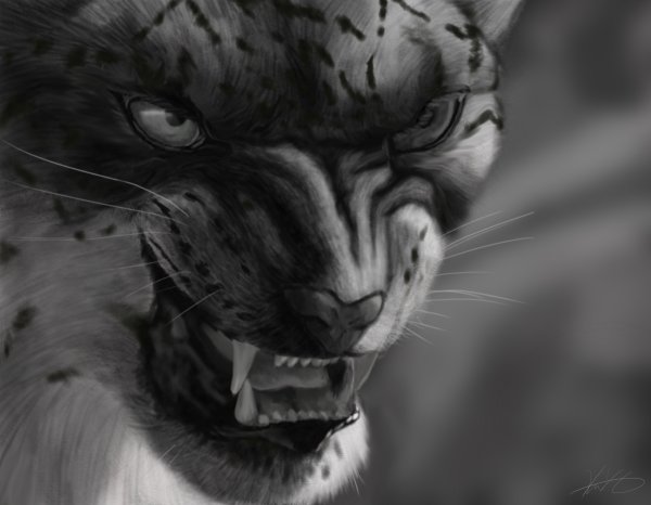 Саблезубый снежный Барс