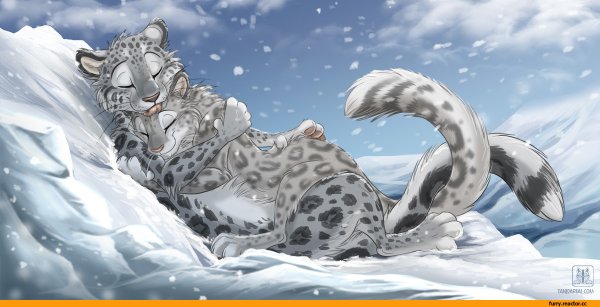 Тан Цзян художник снежный Барс Ирбис