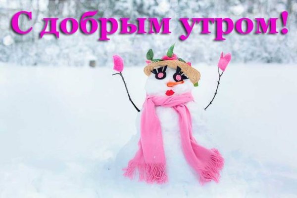 Доброе утро смешные зимние