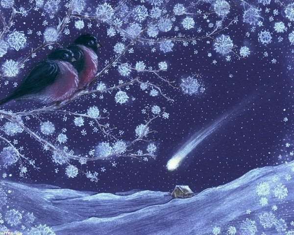 Спокойной ночи зима