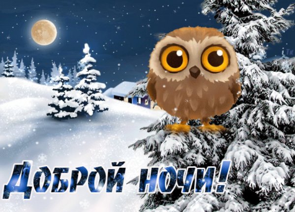 Доброй зимней ночи