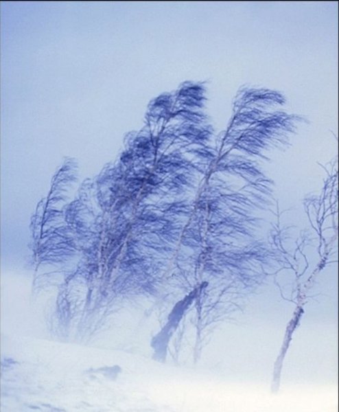 Сильная метель