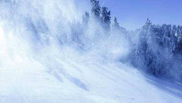 Природа туман