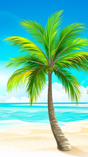 Море солнце пальмы