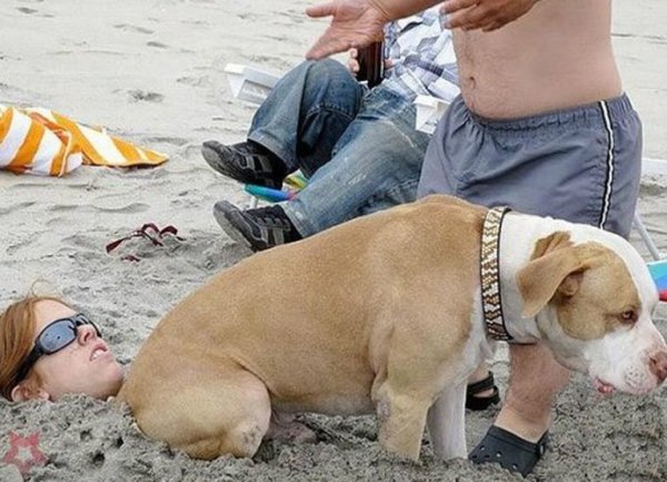 Смешные ситуации