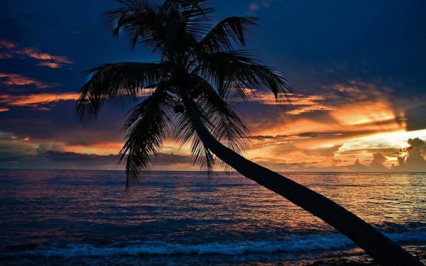 Барбадос закат