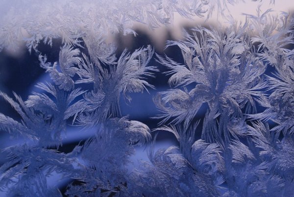 Морозное кружево