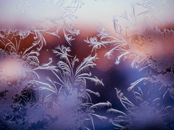 Зимние узоры