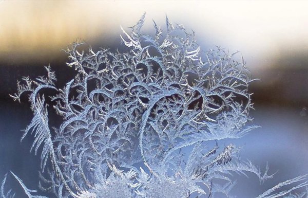 Зимние кружева