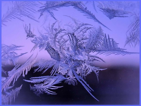 Зимние узоры