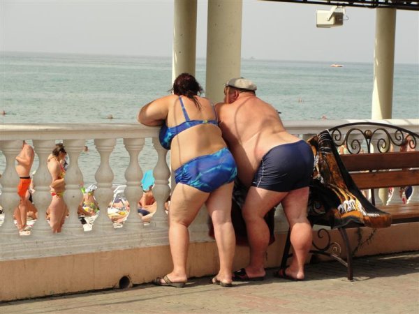 Жирная парочка