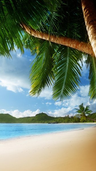 Море солнце пляж