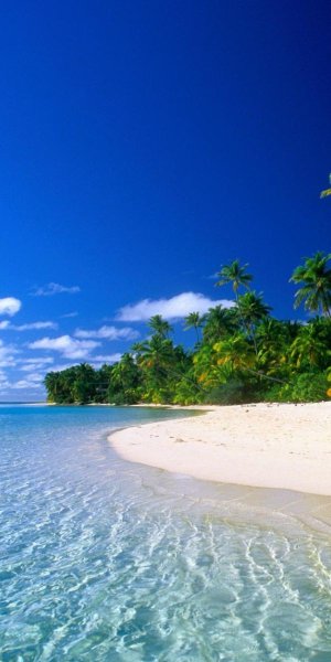 Море пальмы 4к