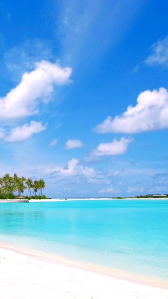 Лето пальмы пляж