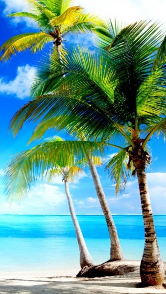 Красивый пляж вертикально