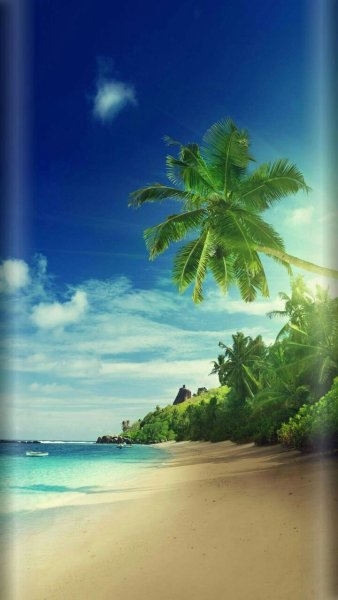 Красивый остров с пальмами