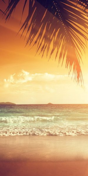 Мостик к морю