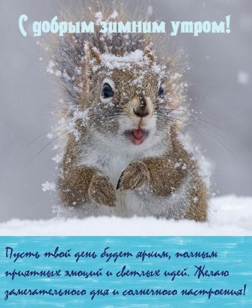 Доброе утро февраля