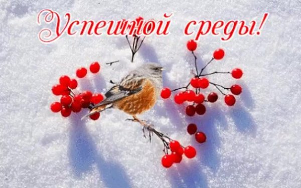 Хорошего зимнего дня среды