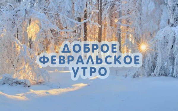 Доброе зимнее утро февраля