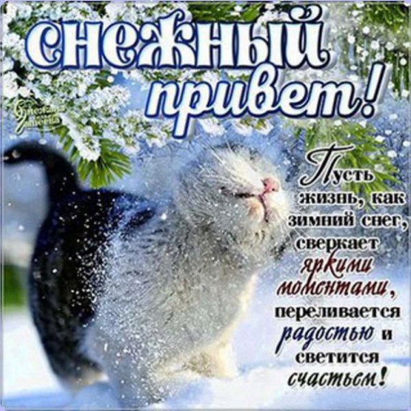 Отличного дня и настроения снежного