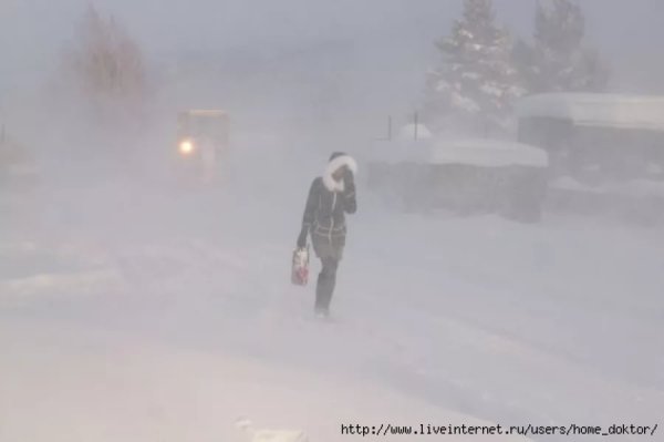 Снежный Буран в городе