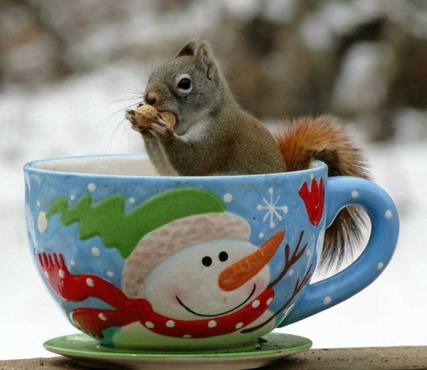 Доброе морозное утро прикольные